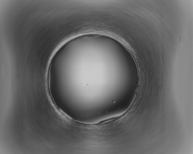 X0000110771536200906151316