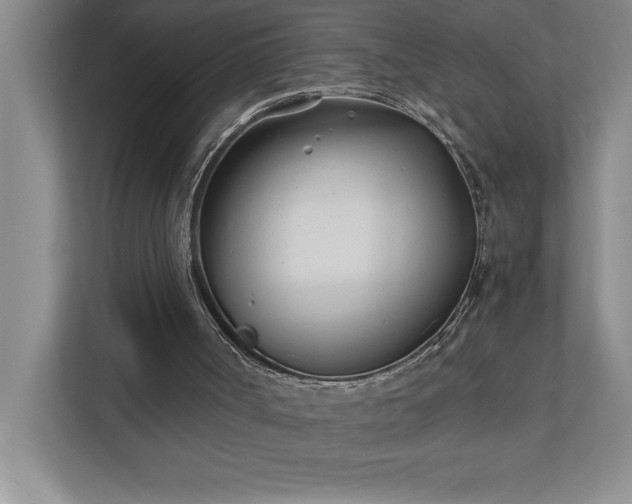 X0000110770002200906221151