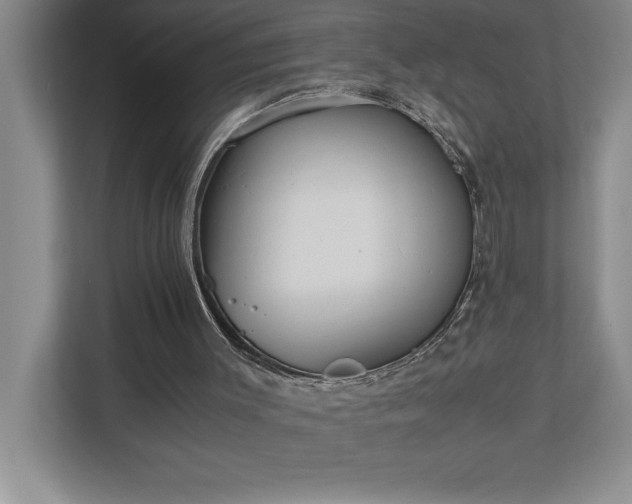 X0000110770003200906221151