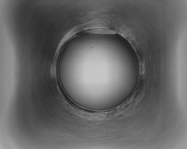 X0000110770004200906221151