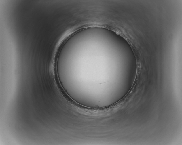 X0000110770006200906221151