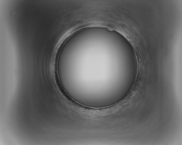 X0000110770007200906221151