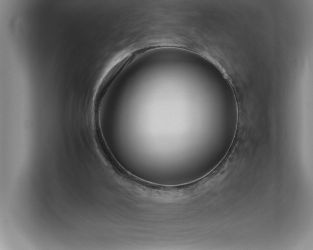 X0000110770008200906221151