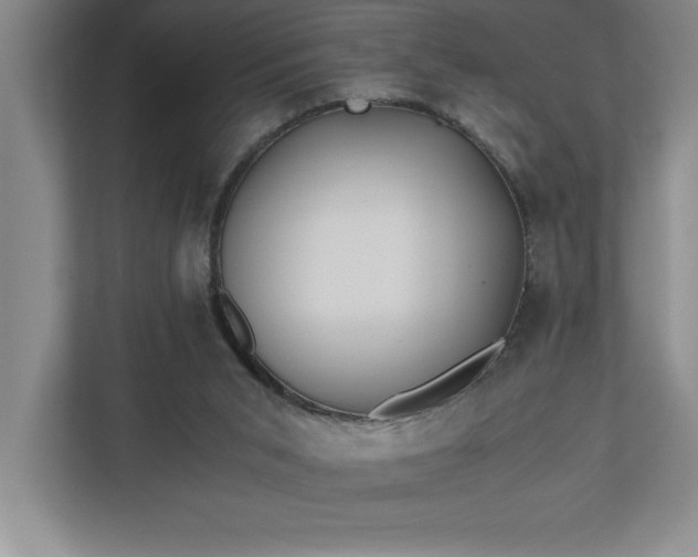 X0000110770015200906221151