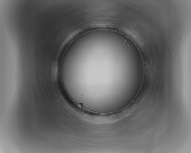 X0000110770016200906221151