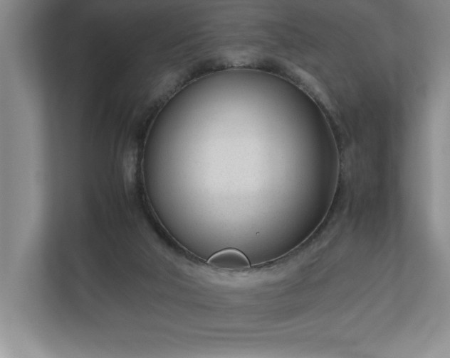 X0000110770018200906221151