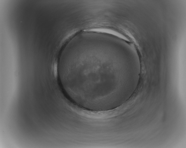 X0000110770019200906221151