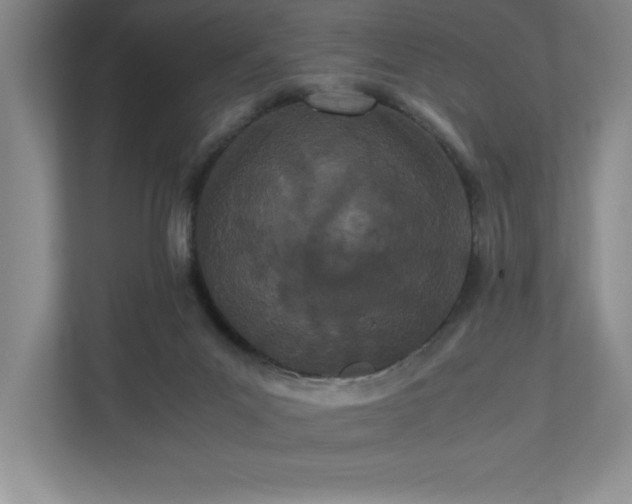 X0000110770023200906221151