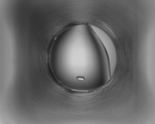 X0000110770025200906221151