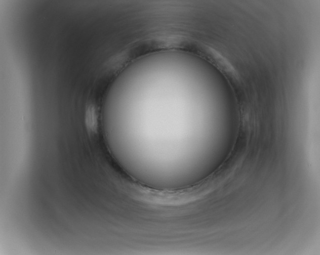 X0000110770026200906221151