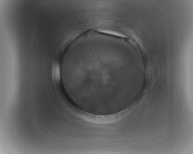 X0000110770027200906221151