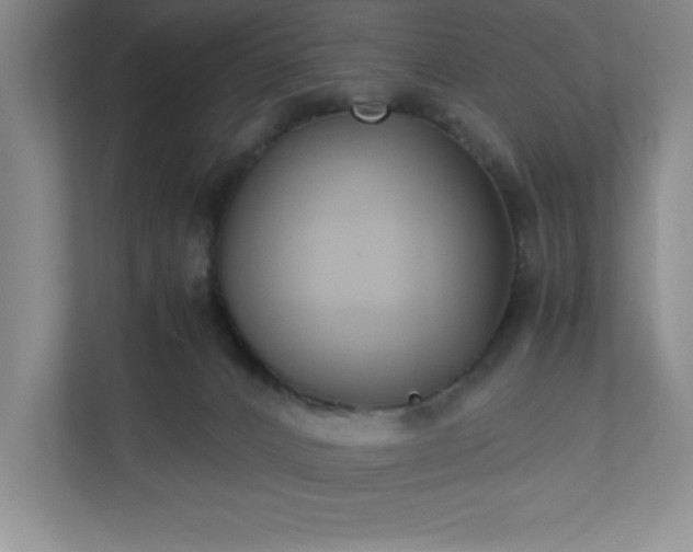 X0000110770032200906221151