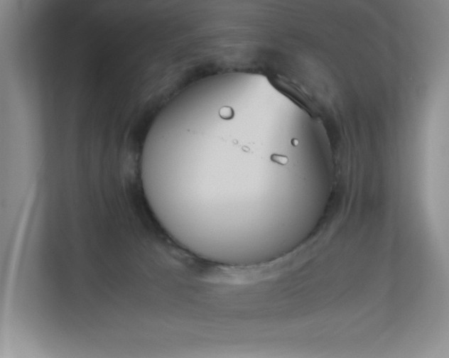 X0000110770033200906221151