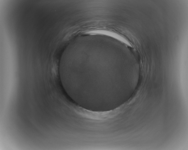 X0000110770035200906221151