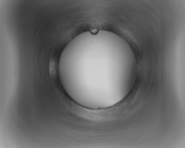 X0000110770038200906221151