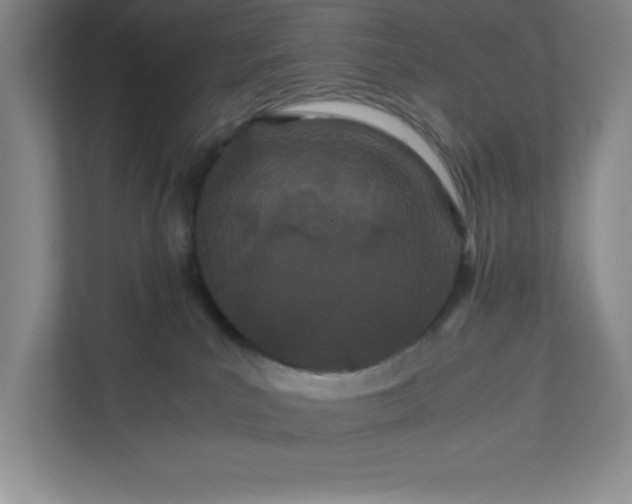 X0000110770039200906221151