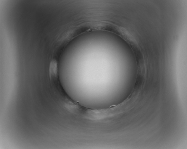 X0000110770041200906221151