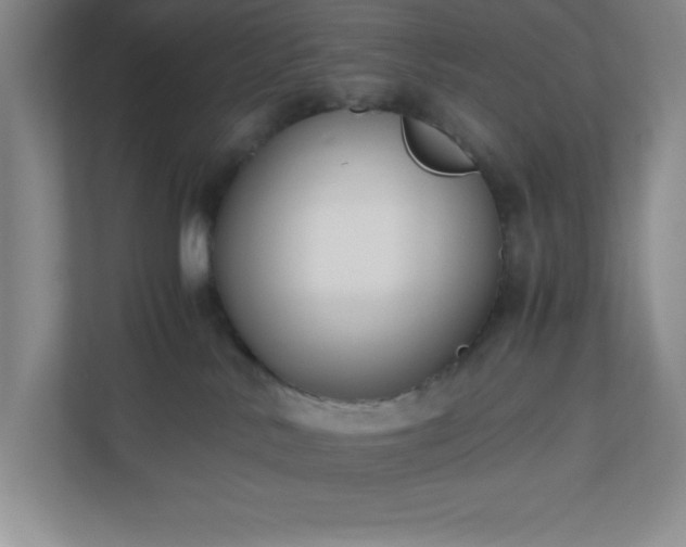 X0000110770042200906221151