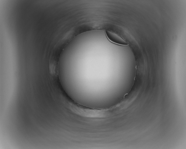 X0000110770044200906221151