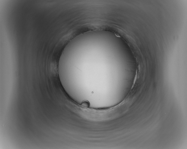 X0000110770048200906221151