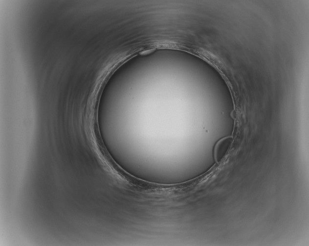 X0000110770049200906221150