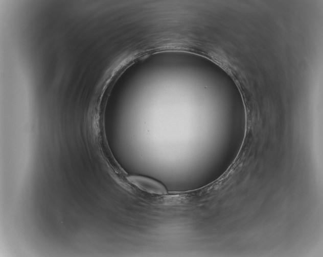 X0000110770050200906221150