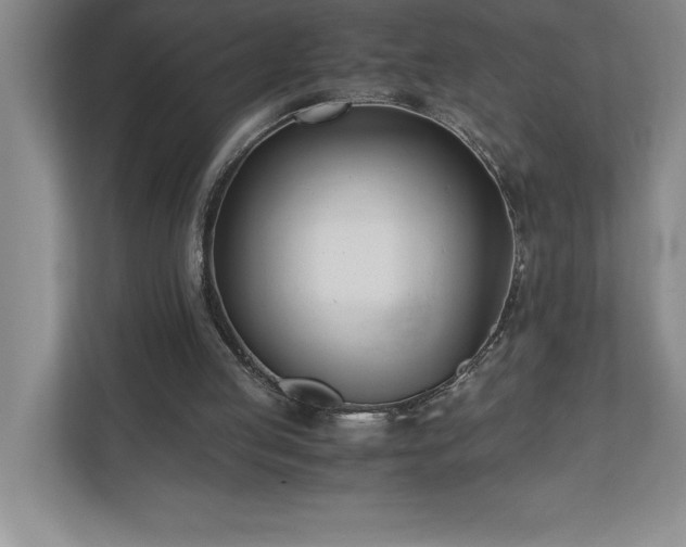 X0000110770053200906221150