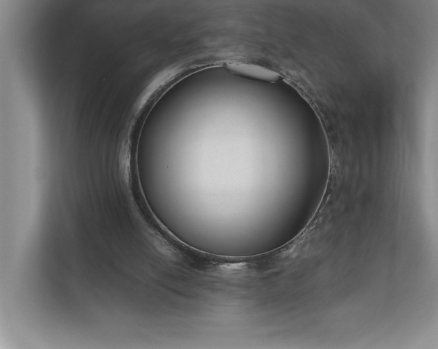 X0000110770054200906221150