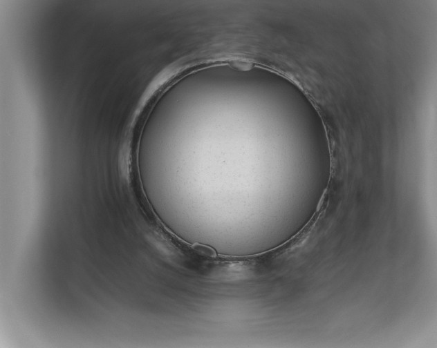 X0000110770056200906221150