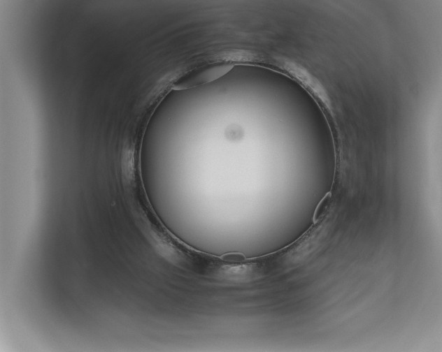 X0000110770057200906221150