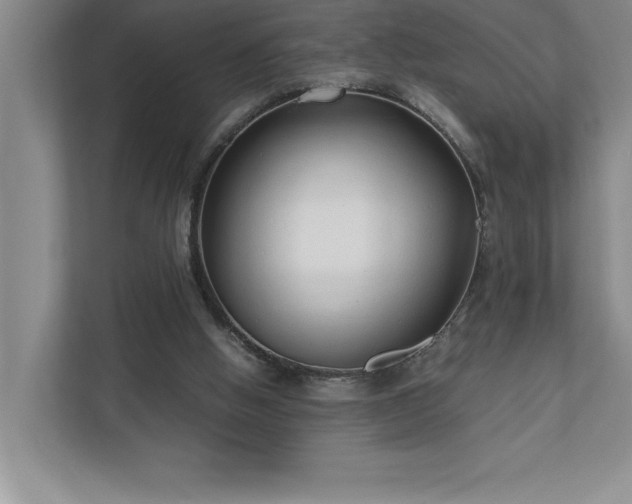 X0000110770058200906221150