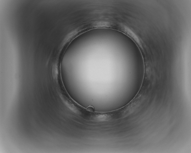 X0000110770059200906221150