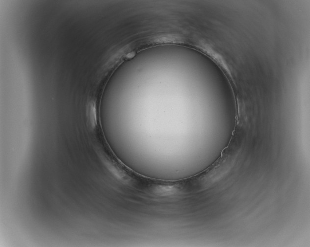 X0000110770061200906221150