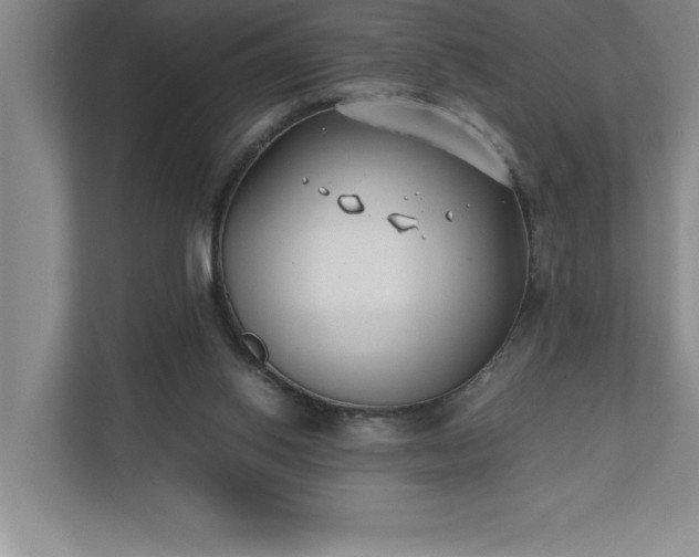 X0000110770062200906221150