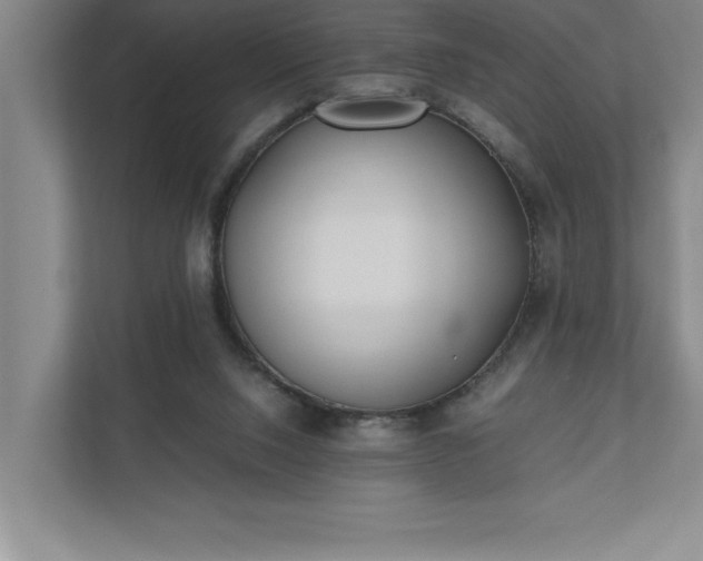 X0000110770064200906221150