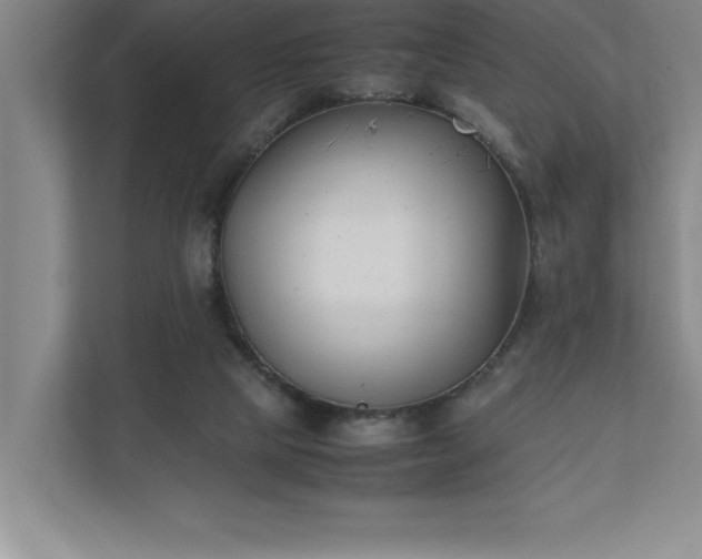 X0000110770065200906221150