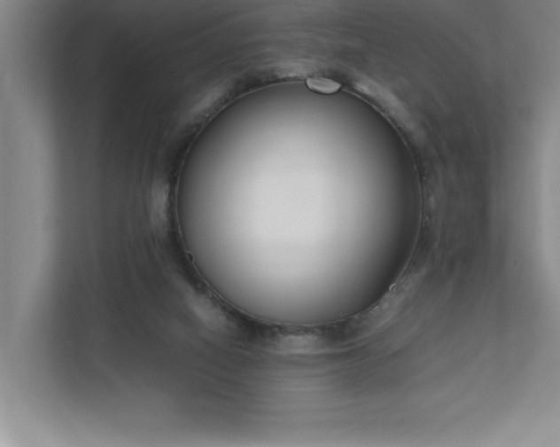 X0000110770066200906221150