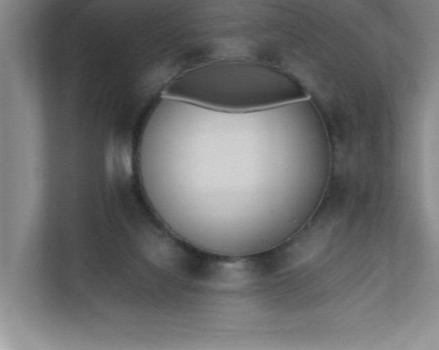 X0000110770068200906221150