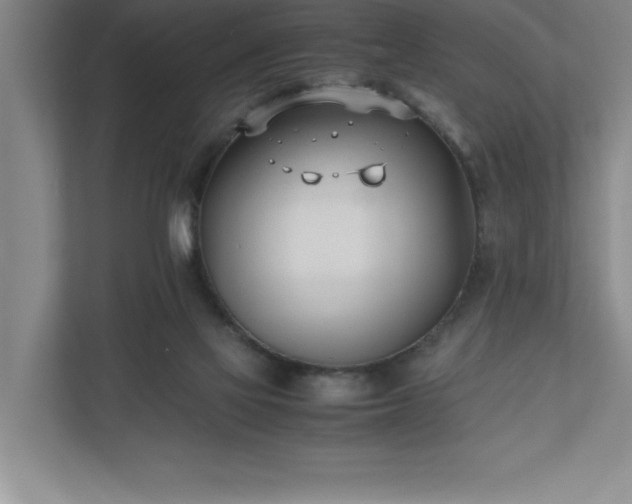 X0000110770069200906221150