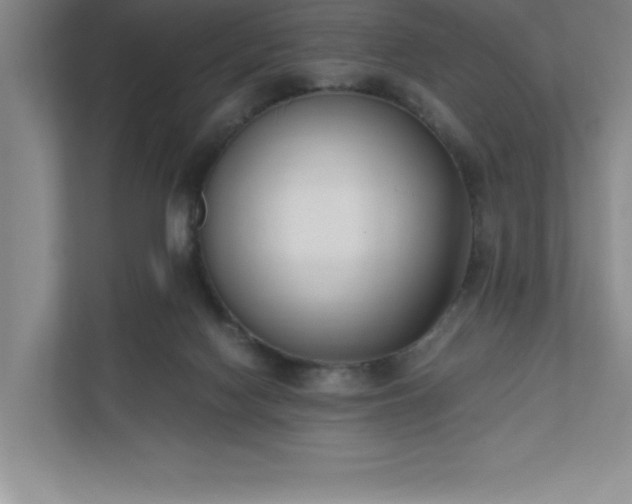 X0000110770074200906221150