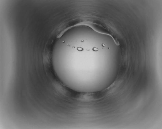 X0000110770078200906221150