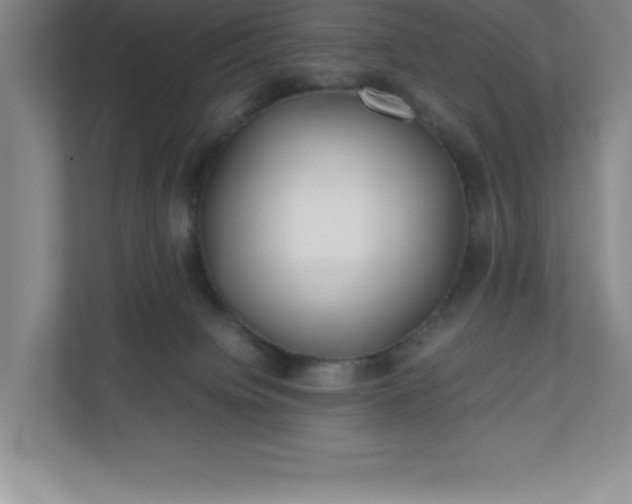 X0000110770084200906221150