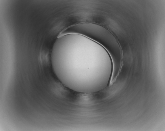 X0000110770088200906221151