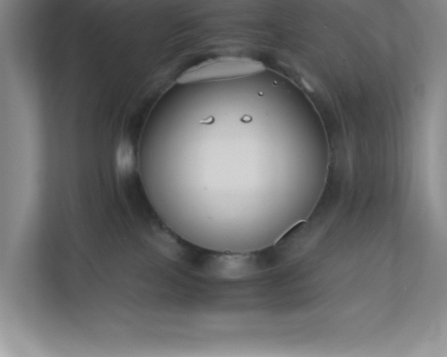 X0000110770089200906221151