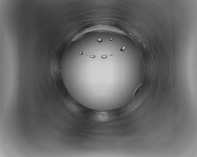 X0000110770091200906221151