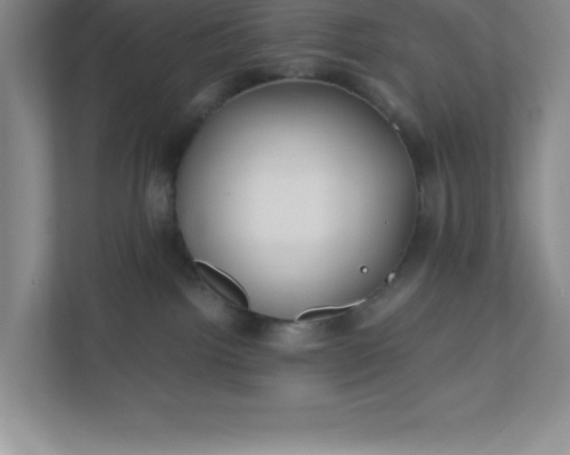 X0000110770092200906221151