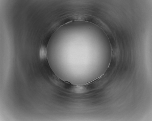 X0000110770095200906221151