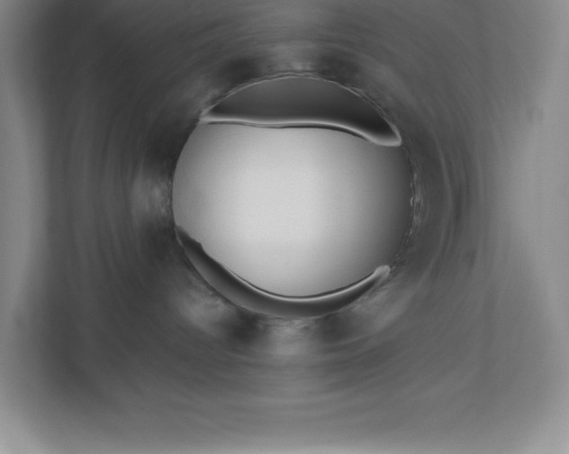 X0000110770096200906221151