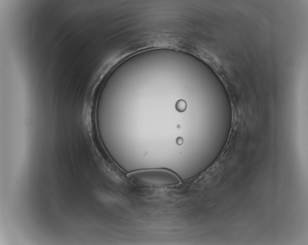 X0000110770098200906221150