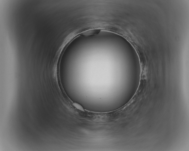 X0000110770099200906221150